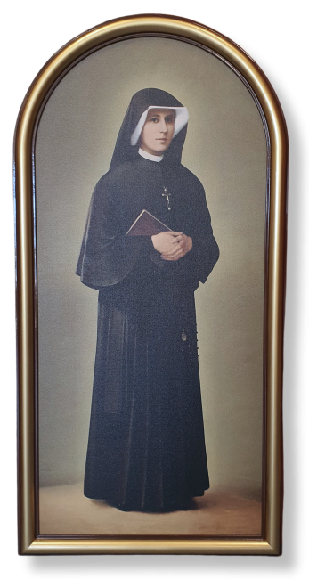 14184_8786