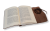 Otwary duzy ciemna.png