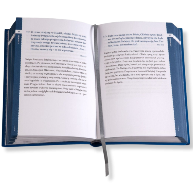 Fausyna dziennczk. niem- tył.pdf.png