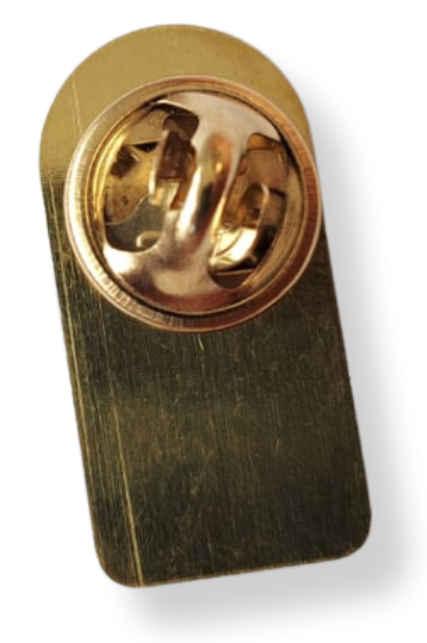 PINS2