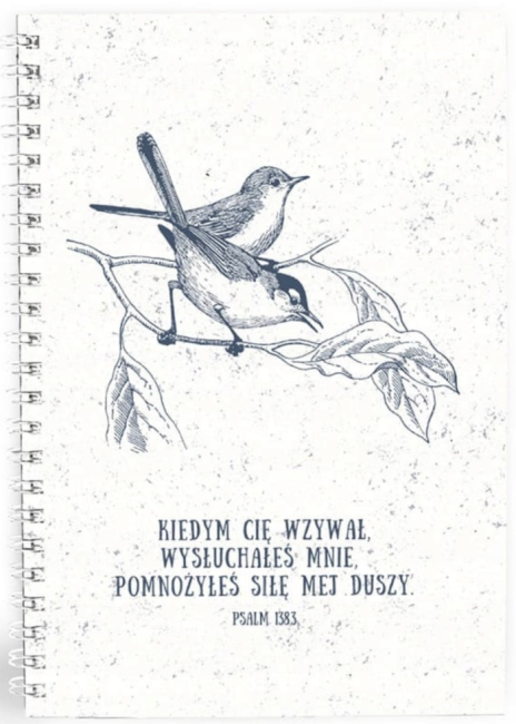 Zrzut ekranu 2026-01-27 o 13.08.19.png