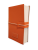 pomarancza3png.png