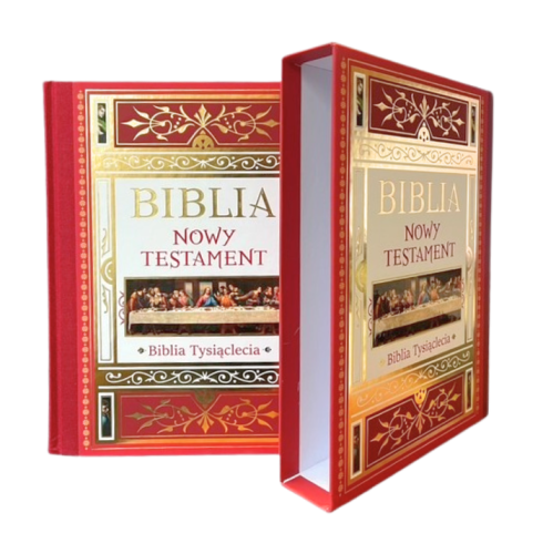 Projekt bez nazwy (13).png