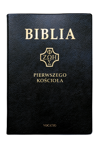PVC_czarna.png