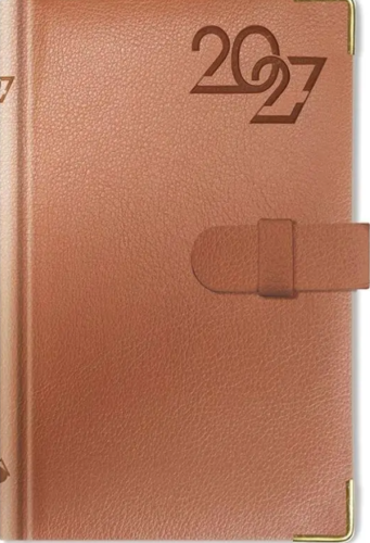 B7